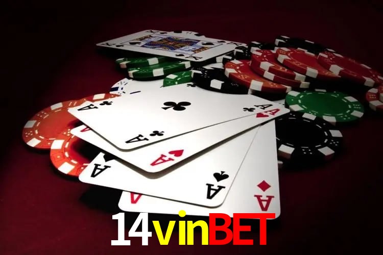 Experiência VIP 14vinbet